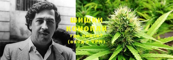 гидра Нягань