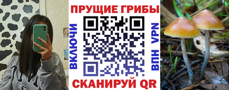 Псилоцибиновые грибы прущие грибы  Абдулино 